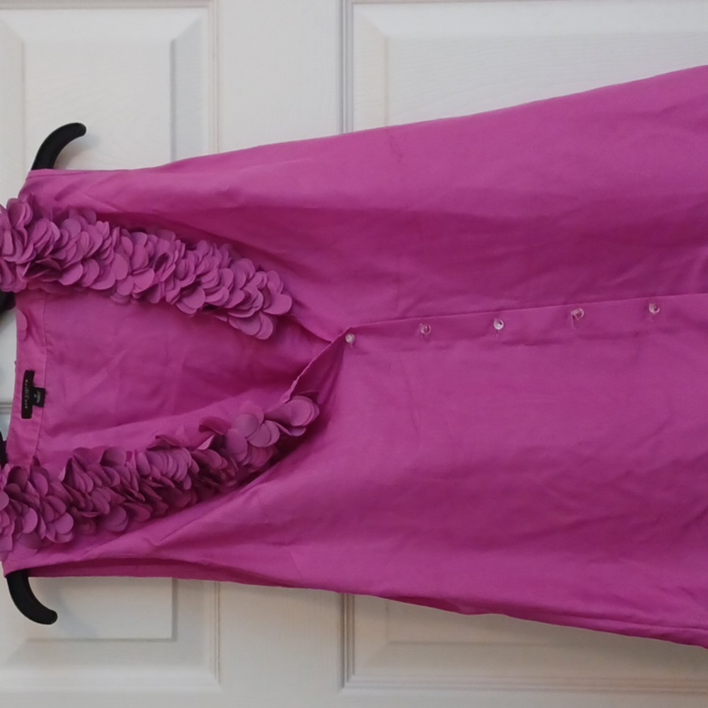 Ann Taylor pink size small silk sleeveless button down petal neck darted top